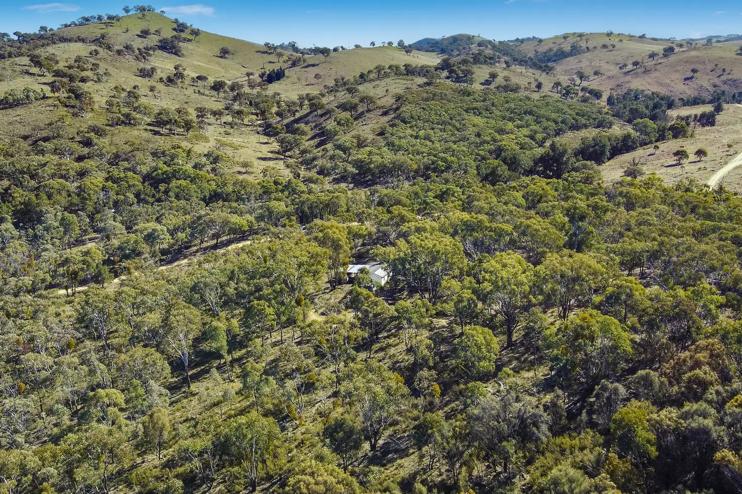 Main view of Homely rural property listing, 206 Roberts Road, Mudgee NSW 2850