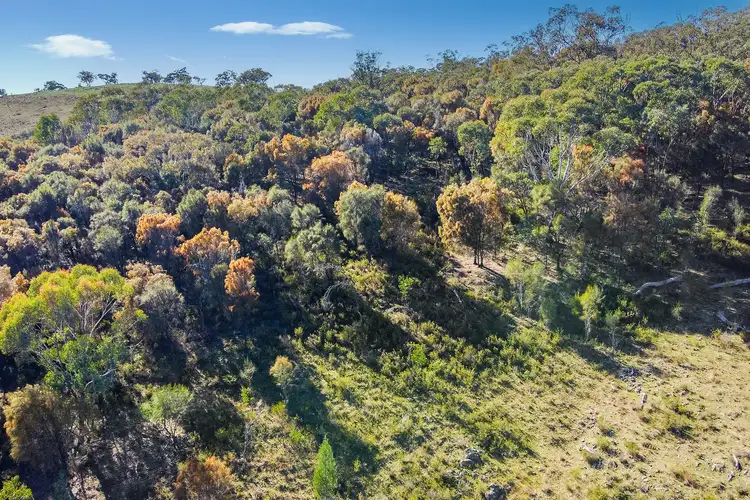 Second view of Homely rural property listing, 206 Roberts Road, Mudgee NSW 2850