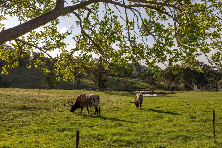 526 Windeyer Road, Mudgee NSW 2850