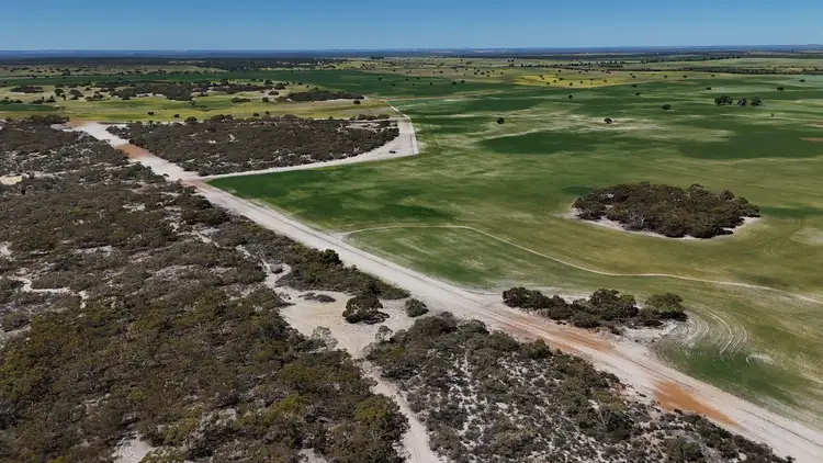Sixth view of Homely rural property listing, 2305 Watheroo Road, Boothendarra WA 6521