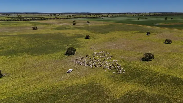 Seventh view of Homely rural property listing, 2305 Watheroo Road, Boothendarra WA 6521