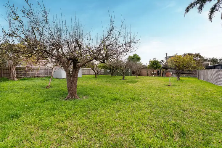 Main view of Homely house listing, 156 Truemans Road, Tootgarook VIC 3941