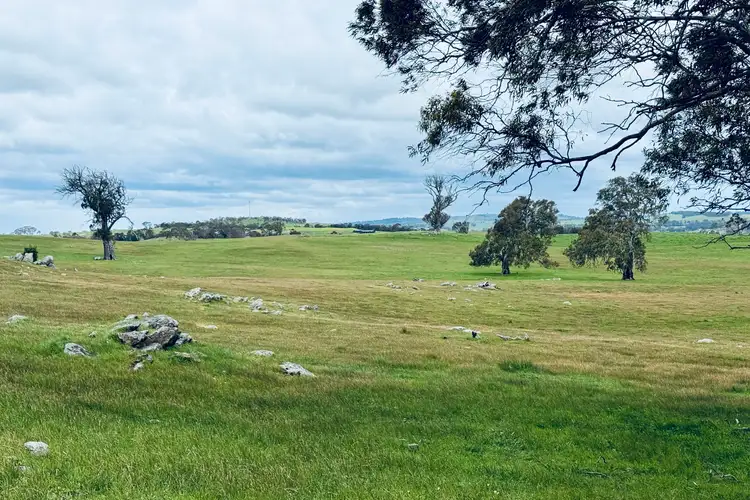 Second view of Homely rural property listing, Lot 115 Mcgormans Road, Tungkillo SA 5236