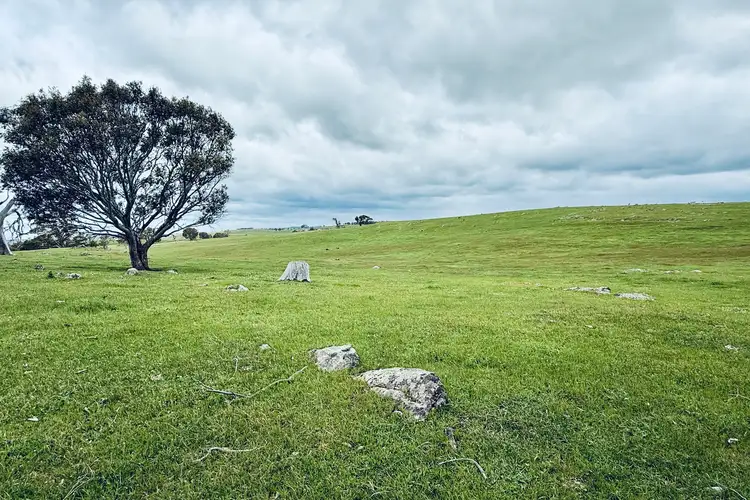 Fourth view of Homely rural property listing, Lot 115 Mcgormans Road, Tungkillo SA 5236