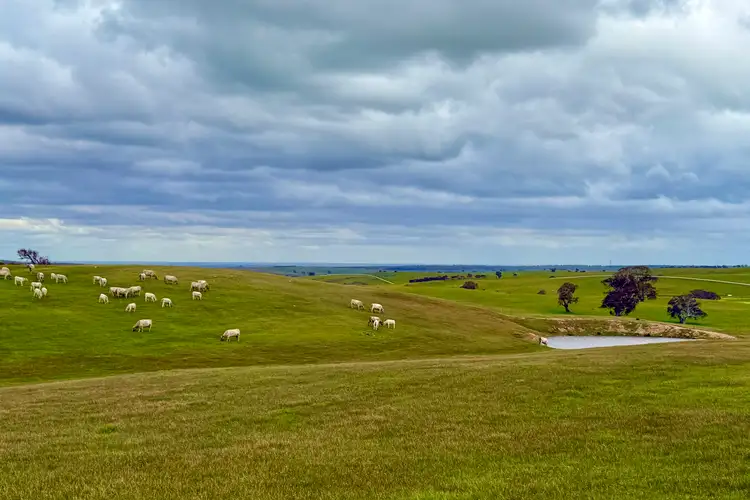 Sixth view of Homely rural property listing, Lot 115 Mcgormans Road, Tungkillo SA 5236