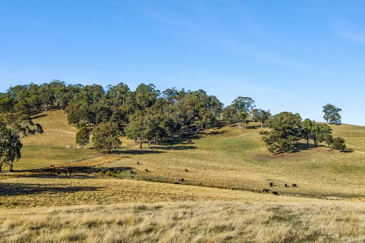 Third view of Homely land listing, LOT 1, 104 Holcombe Road, Glenlyon VIC 3461