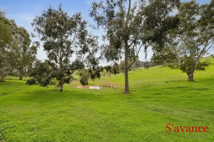 Second view of Homely rural property listing, 197 Woolshed Road, Kersbrook SA 5231