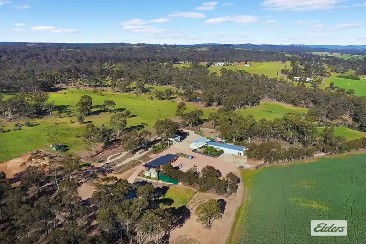 Fourth view of Homely rural property listing, 180 Pinchgut Lane, Shelbourne VIC 3515
