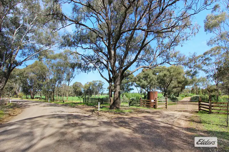 Fifth view of Homely rural property listing, 180 Pinchgut Lane, Shelbourne VIC 3515