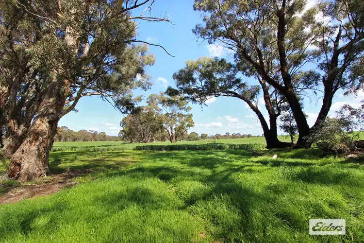 Sixth view of Homely rural property listing, 180 Pinchgut Lane, Shelbourne VIC 3515