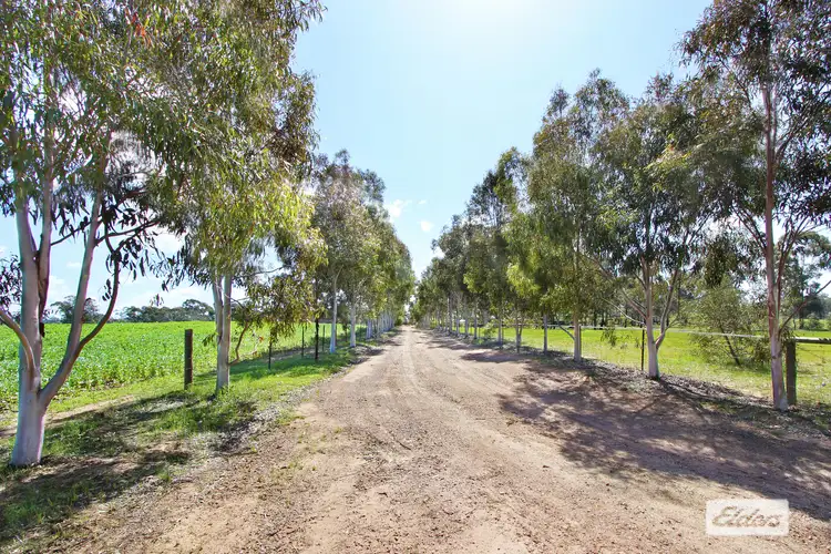 Seventh view of Homely rural property listing, 180 Pinchgut Lane, Shelbourne VIC 3515