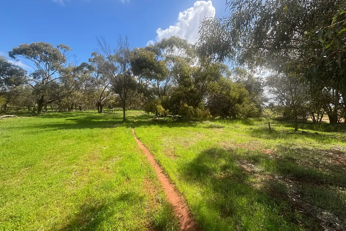 Main view of Homely rural property listing, 768 Nangerwalla Road, Nunierra WA 6630