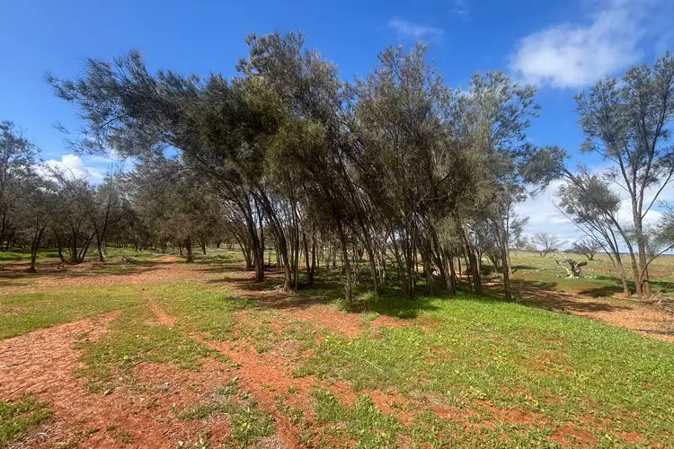 Third view of Homely rural property listing, 768 Nangerwalla Road, Nunierra WA 6630