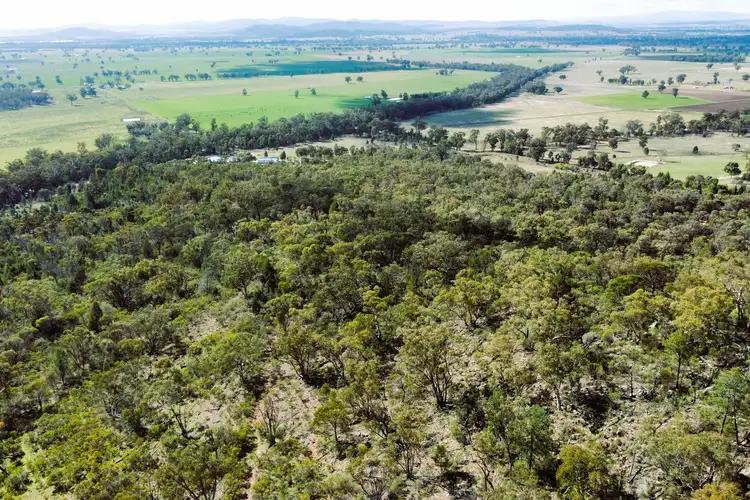 Seventh view of Homely rural property listing, Lot 6 Binda Road, Gooloogong NSW 2805