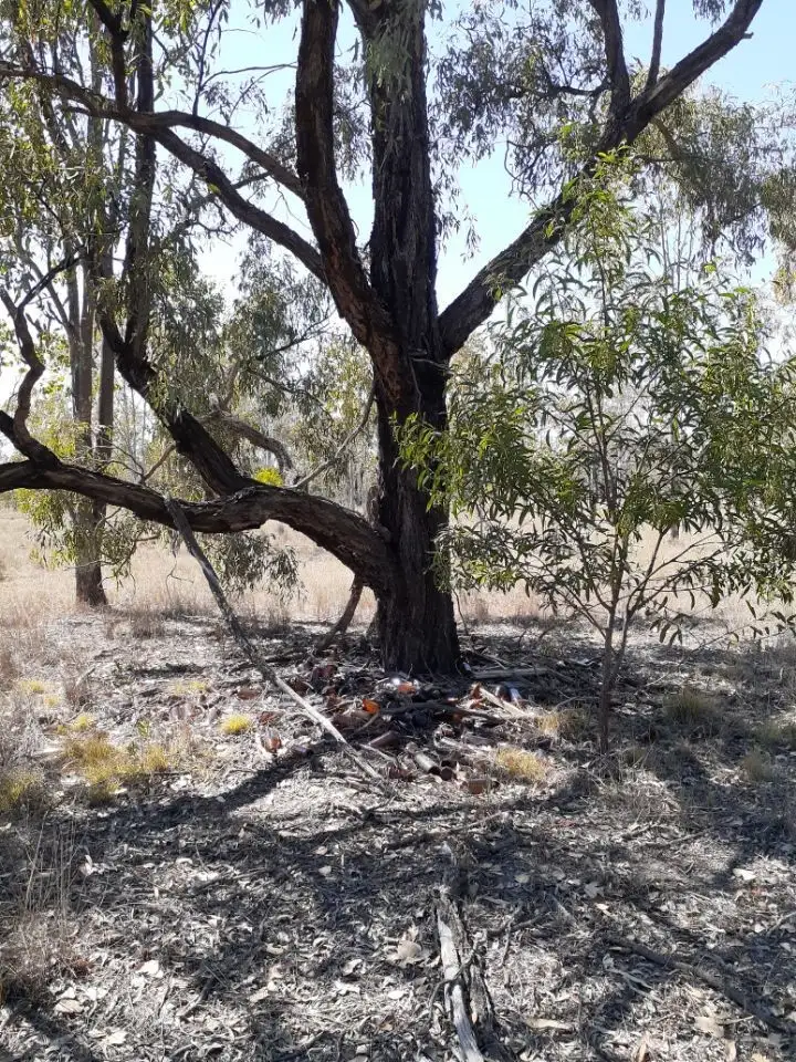 Second view of Homely rural property listing, #122 Kofoeds Road, Tara QLD 4421