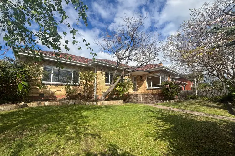 12 South Daly Street