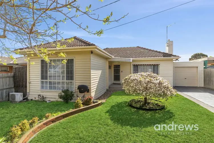 Main view of Homely house listing, 16 McCurdy Road, Herne Hill VIC 3218