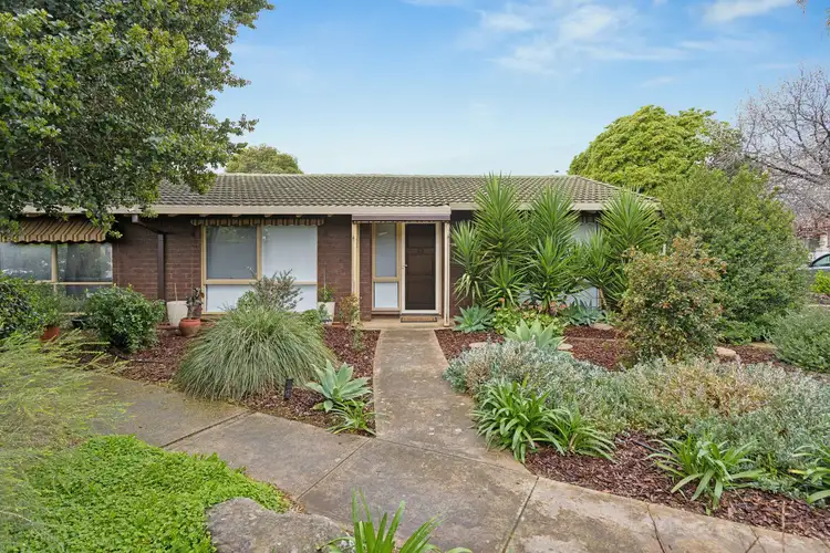 Second view of Homely unit listing, Unit 22/74-86 Marian Road, Payneham SA 5070