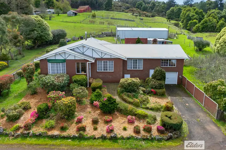Main view of Homely house listing, 64 West Ridgley Road, Ridgley TAS 7321