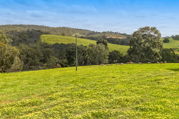 Fifth view of Homely rural property listing, 245 Stephens Road, Bindoon WA 6502