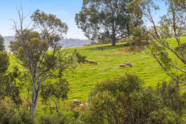 Sixth view of Homely rural property listing, 245 Stephens Road, Bindoon WA 6502