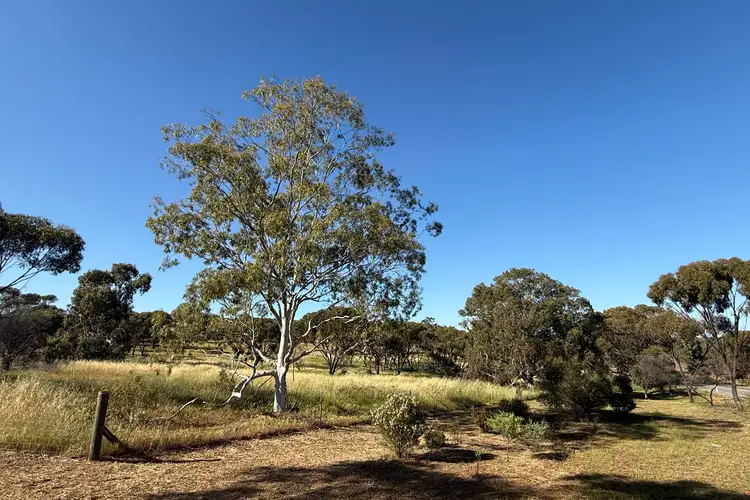 Fourth view of Homely land listing, LOT 64 Northam-York Road, York WA 6302