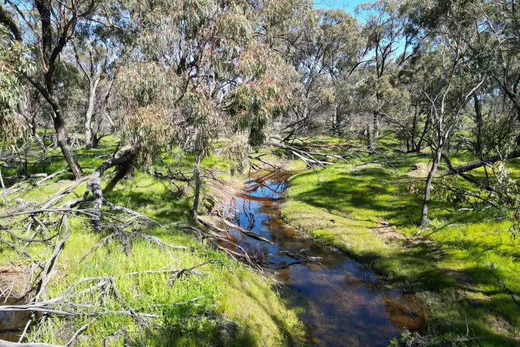 Third view of Homely rural property listing, LOT 131 Gillingarra- Glentromie Road, Glentromie WA 6509