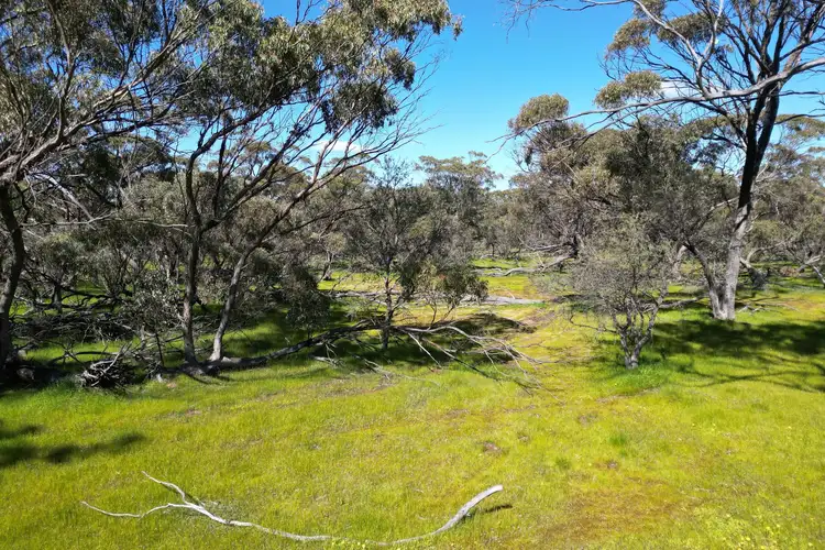 Fourth view of Homely rural property listing, LOT 131 Gillingarra- Glentromie Road, Glentromie WA 6509
