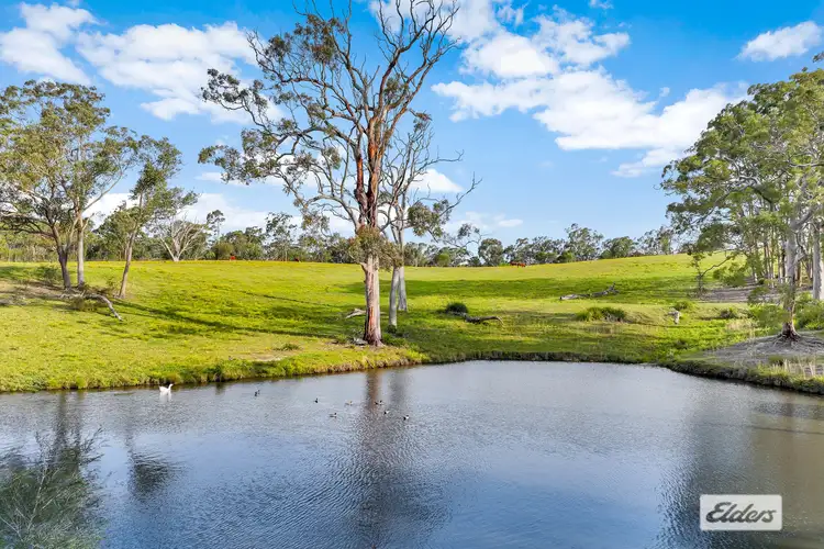 Third view of Homely rural property listing, 735 Ironbark Road, Mangrove Mountain NSW 2250