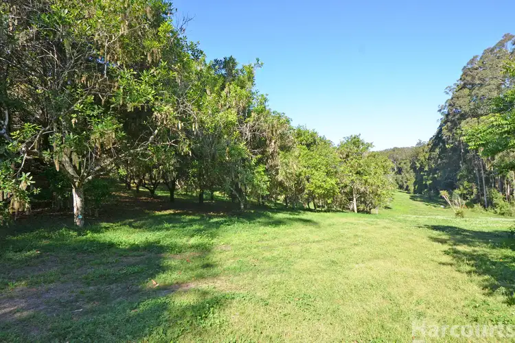 Third view of Homely rural property listing, 137 Browns Road, Yarrahapinni NSW 2441