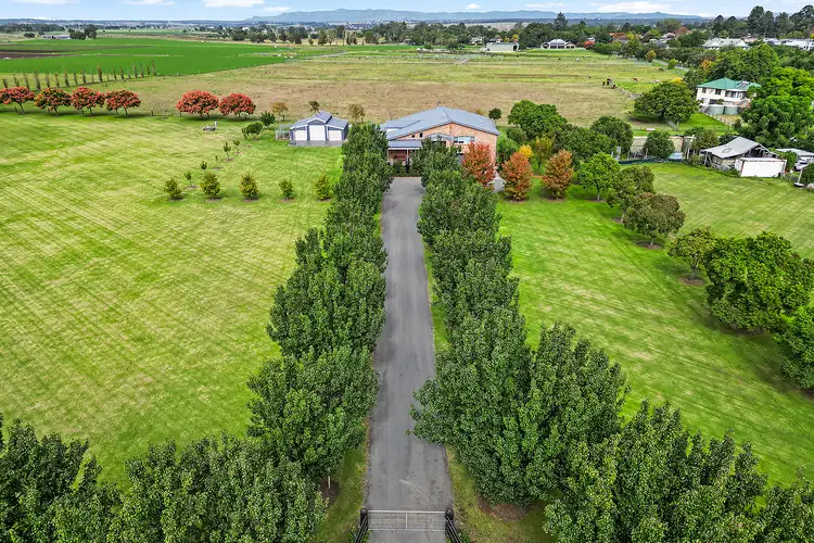 Fourth view of Homely rural property listing, 101-103 Queen Street, Singleton NSW 2330