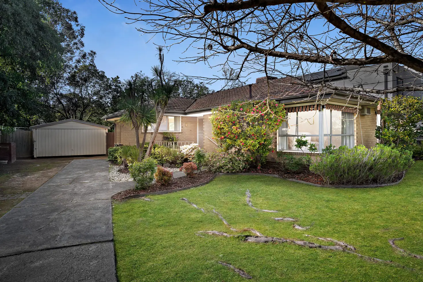 Main view of Homely house listing, 3 Macey Street, Croydon South VIC 3136