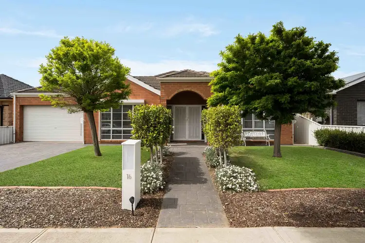 16 Ralli Street, Plympton Park SA 5038