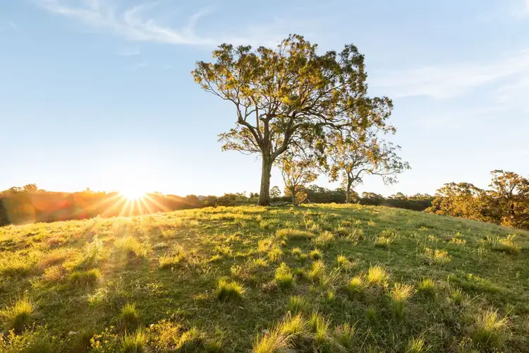 Fourth view of Homely rural property listing, 161 Mount Hercules Road, Razorback NSW 2571