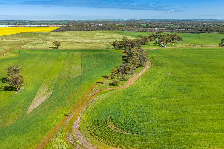 Fifth view of Homely rural property listing, 1831 Midlands Road, Moora WA 6510