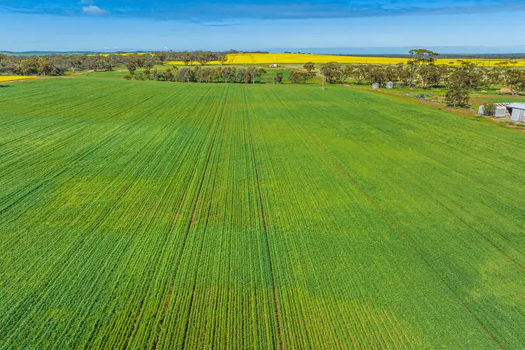 Seventh view of Homely rural property listing, 1831 Midlands Road, Moora WA 6510
