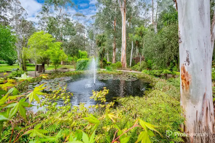 Sixth view of Homely house listing, 25 Ewarts Road, Don Valley VIC 3139