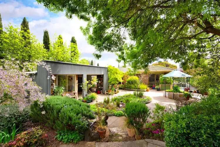 Second view of Homely house listing, 38 William Street, Castlemaine VIC 3450