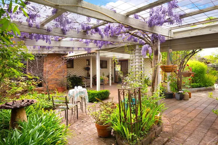 Third view of Homely house listing, 38 William Street, Castlemaine VIC 3450