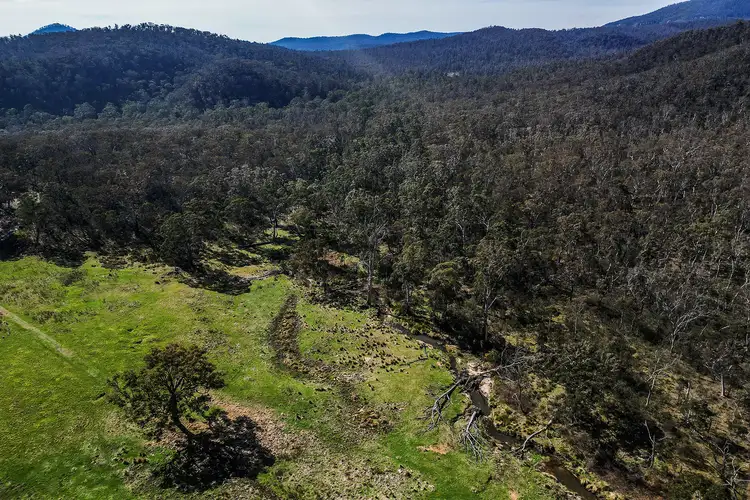 Second view of Homely rural property listing, 1960 Coricudgy Road, Rylstone NSW 2849