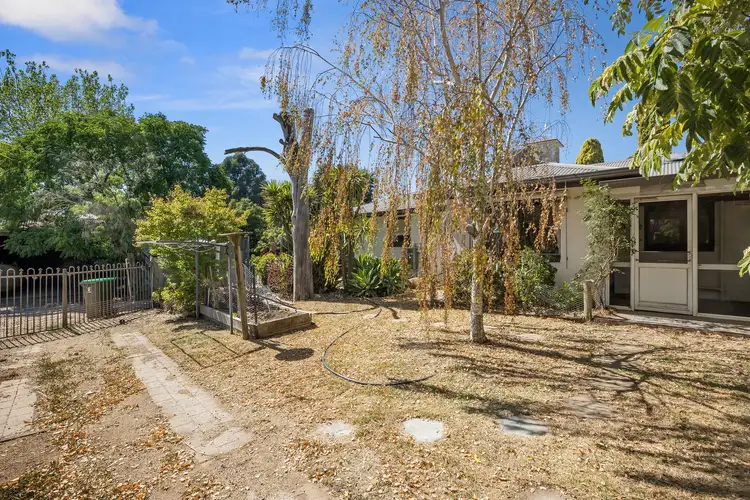 Fourth view of Homely house listing, 98 - 100 Specimen Hill Road, Golden Square VIC 3555