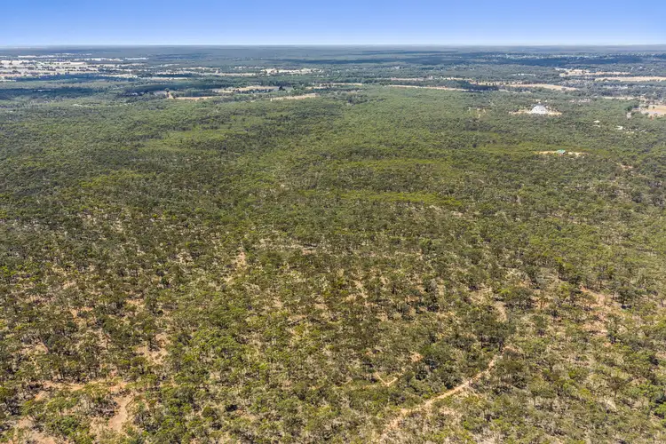 Fourth view of Homely rural property listing, lot 6 Bernaroo Road, Myers Flat VIC 3556