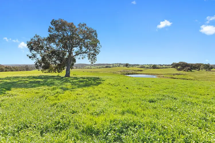 Fourth view of Homely land listing, LOT 2 Lemon Tree Lane, Sedgwick VIC 3551