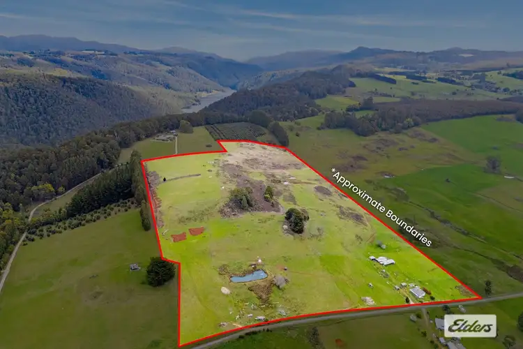 Main view of Homely rural property listing, 134 Williams Road, Wilmot TAS 7310
