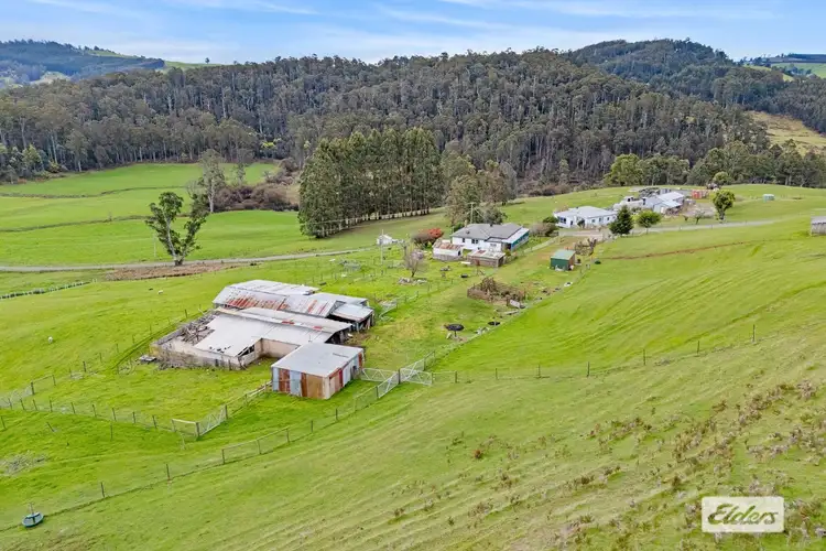 Fourth view of Homely rural property listing, 134 Williams Road, Wilmot TAS 7310