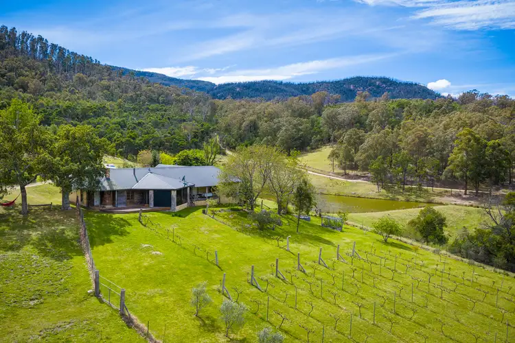 1838 Big Jack Mountain Road, Rocky Hall NSW 2550