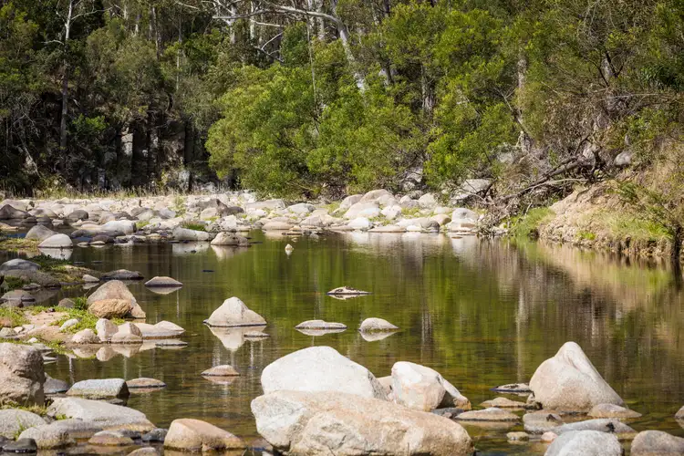 Fifth view of Homely house listing, 1838 Big Jack Mountain Road, Rocky Hall NSW 2550