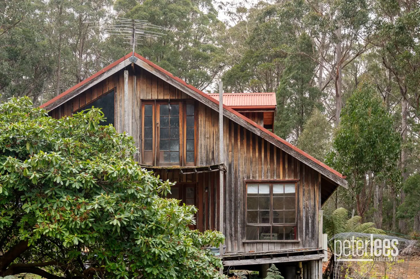 Main view of Homely house listing, 205 Mount Arthur Road, Patersonia TAS 7259