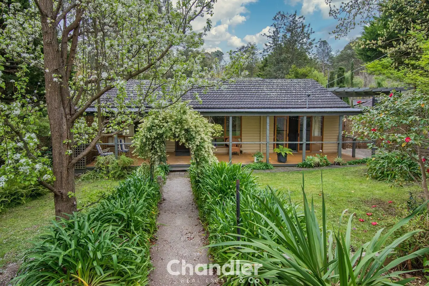Main view of Homely house listing, 13 Fernery Road, Upwey VIC 3158