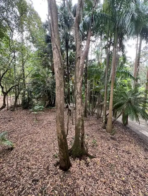 Second view of Homely house listing, 825 Cedar Creek Road, Cedar Creek QLD 4520